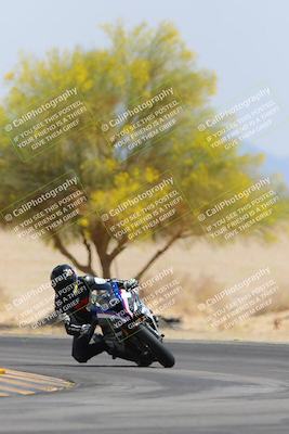 media/Apr-12-2025-Race Pace (Sat) [[9230add55f]]/Vested/6-Turn 4 Tree of Life (115pm)/